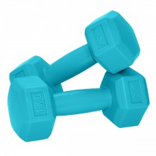Гантелі SportVida 2 x 1 кг SV-HK0217