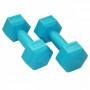 Гантелі SportVida 2 x 1 кг SV-HK0217