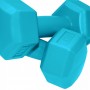 Гантелі SportVida 2 x 1 кг SV-HK0217