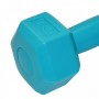 Гантелі SportVida 2 x 1 кг SV-HK0217