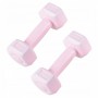 Гантелі Springos Hex 2 x 0.5 кг FA1029