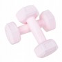 Гантелі Springos Hex 2 x 0.5 кг FA1029