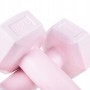 Гантелі Springos Hex 2 x 0.5 кг FA1029