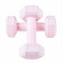Гантелі Springos Hex 2 x 0.5 кг FA1029