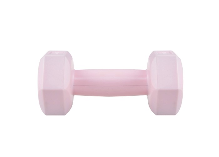 Гантелі Springos Hex 2 x 0.5 кг FA1029