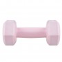 Гантелі Springos Hex 2 x 0.5 кг FA1029