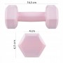 Гантелі Springos Hex 2 x 0.5 кг FA1029