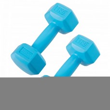 Гантелі Springos Hex 2 x 1 кг FA1030