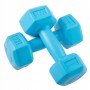 Гантелі Springos Hex 2 x 1 кг FA1030