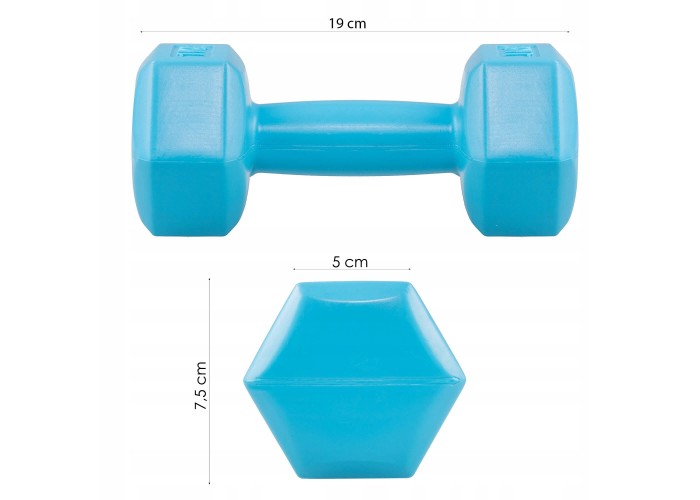 Гантелі Springos Hex 2 x 1 кг FA1030