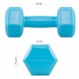 Гантелі Springos Hex 2 x 1 кг FA1030