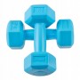 Гантелі Springos Hex 2 x 1 кг FA1030