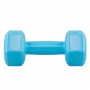 Гантелі Springos Hex 2 x 1 кг FA1030