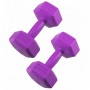 Гантелі Springos Hex 2 x 2 кг FA1032