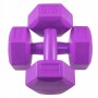 Гантелі Springos Hex 2 x 2 кг FA1032