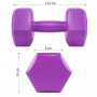 Гантелі Springos Hex 2 x 2 кг FA1032
