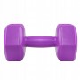 Гантелі Springos Hex 2 x 2 кг FA1032