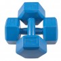Гантелі Springos Hex 2 x 2.5 кг FA1033