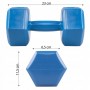 Гантелі Springos Hex 2 x 2.5 кг FA1033
