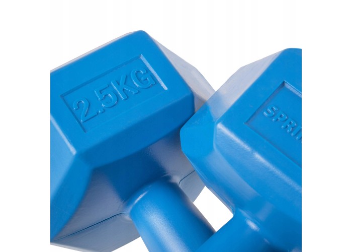 Гантелі Springos Hex 2 x 2.5 кг FA1033