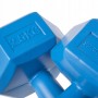 Гантелі Springos Hex 2 x 2.5 кг FA1033