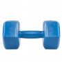 Гантелі Springos Hex 2 x 2.5 кг FA1033