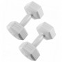 Гантелі Springos Hex 2 x 3 кг FA1034