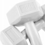 Гантелі Springos Hex 2 x 3 кг FA1034