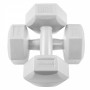 Гантелі Springos Hex 2 x 3 кг FA1034