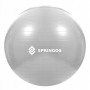 М'яч для фітнесу (фітбол) Springos 75 см Anti-Burst FB0008 Grey