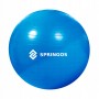М'яч для фітнесу (фітбол) Springos 85 см Anti-Burst FB0009 Blue