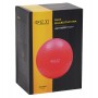 М'яч для фітнесу (фітбол) 4FIZJO 55 см Anti-Burst Red (P-5907222931509)
