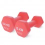 Гантелі вінілові 4FIZJO Classic 2 x 1.5 кг (P-5907739311962)