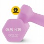 Гантелі вінілові 4FIZJO Classic 2 x 0.5 кг (P-5907739311948)
