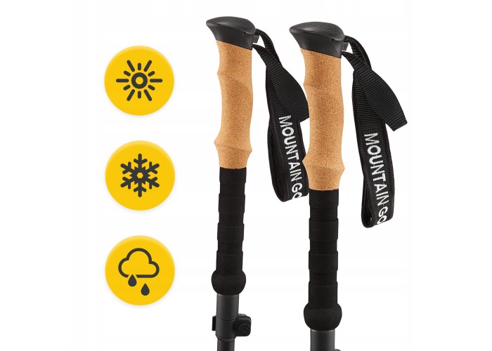 Трекінгові палиці Mountain Goat Active 38-130 см Black (P-5905973404679)