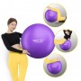 М'яч для фітнесу (фітбол) 4FIZJO 75 см Anti-Burst Violet (P-5905973404815)