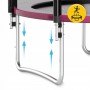 Батут із зовнішньою сіткою 4FIZJO Classic 10FT 312 см Black/Pink (P-5907739314567)