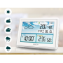 Метеостанція BERDSEN BD-909 White (390900)