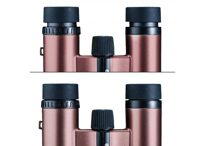 Бінокль Vanguard Vesta Compact 10x21 WP Rose Gold (Vesta 1021 Rose)