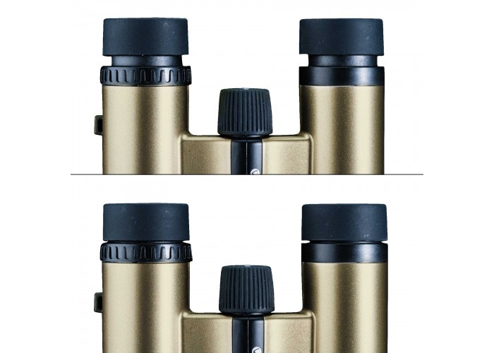 Бінокль Vanguard Vesta Compact 10x21 WP Champagne (Vesta 1021 Cham)
