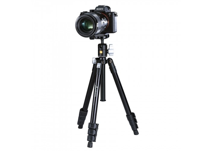 Штатив Vanguard Vesta FB 204ABS (Vesta FB 204ABS)