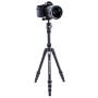Штатив Vanguard Vesta TB 204ABS (Vesta TB 204ABS)