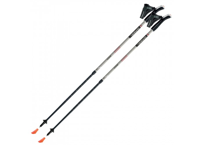 Палиці для скандинавської ходьби Gabel Stretch Ice (7008352630000)