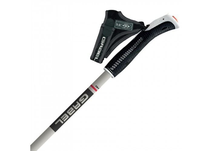 Палиці для скандинавської ходьби Gabel Stretch Ice (7008352630000)