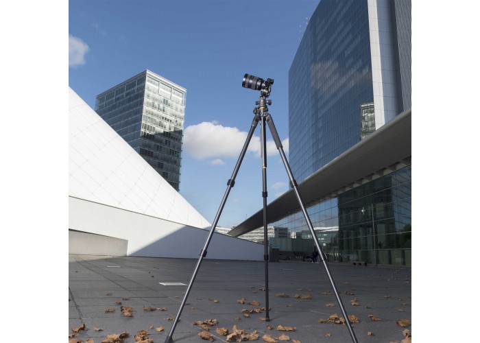 Штатив Vanguard Alta Pro 2+ 263AB 100 (Alta Pro 2+ 263AB 100)
