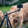 Штатив Vanguard Alta Pro 2+ 263AB 100 (Alta Pro 2+ 263AB 100)
