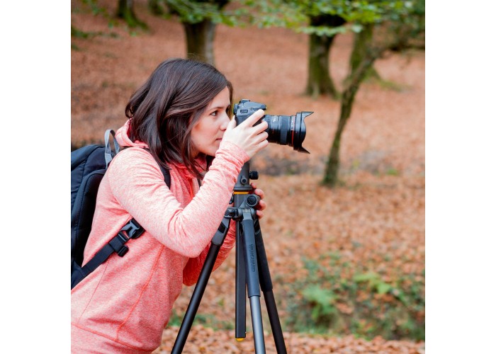 Штатив Vanguard Alta Pro 2+ 263AB 100 (Alta Pro 2+ 263AB 100)