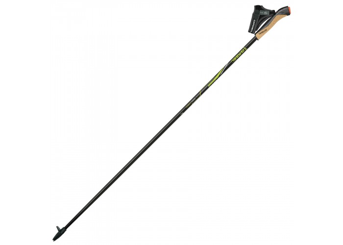 Палиці для скандинавської ходьби Gabel FX-75 Snake Carbon 125 Dual Spike (7009351011250)