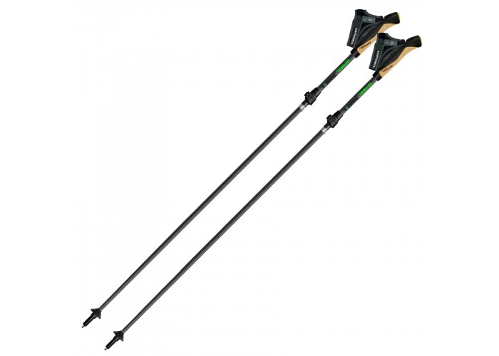 Палиці для скандинавської ходьби Gabel Springbok XTS (7009400600000)