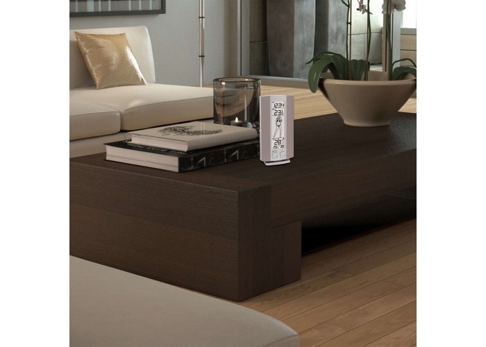 Метеостанція Technoline WS9750 IT Grey/Silver (WS9750)